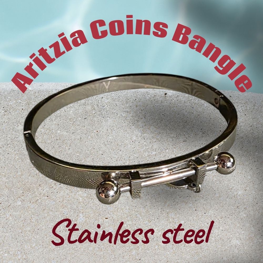 NWOT Aritzia Stainless Steel Bangle